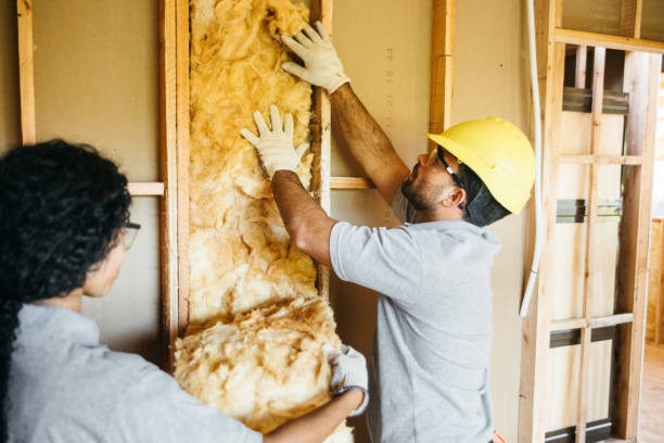 Best Professional Insulation Contractor  in North Haverhill, NH